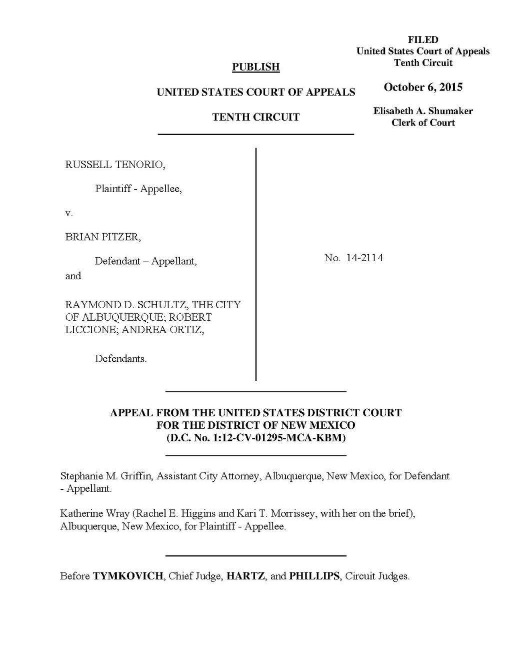 10th-circuit-appellate-brief-template