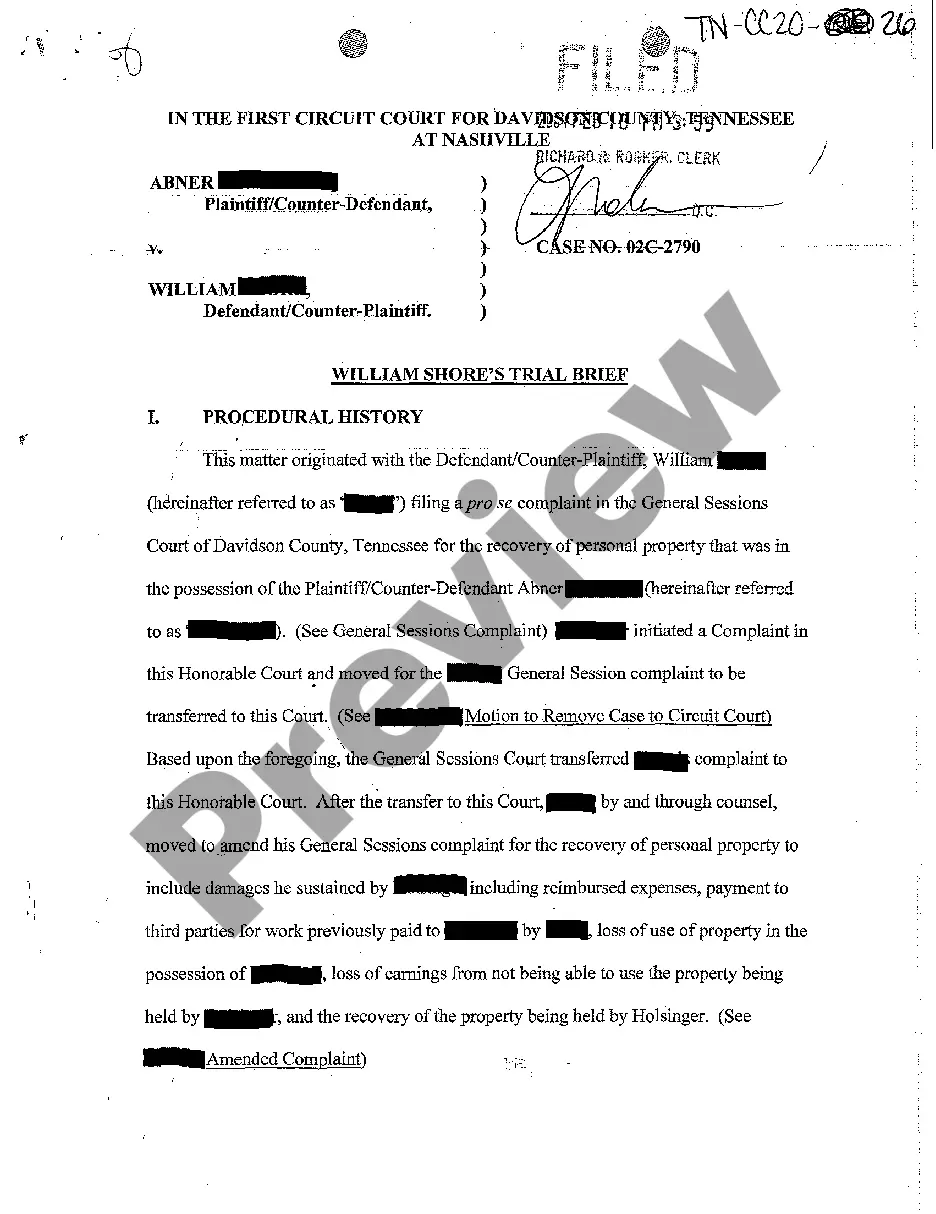 divorce-trial-brief-template