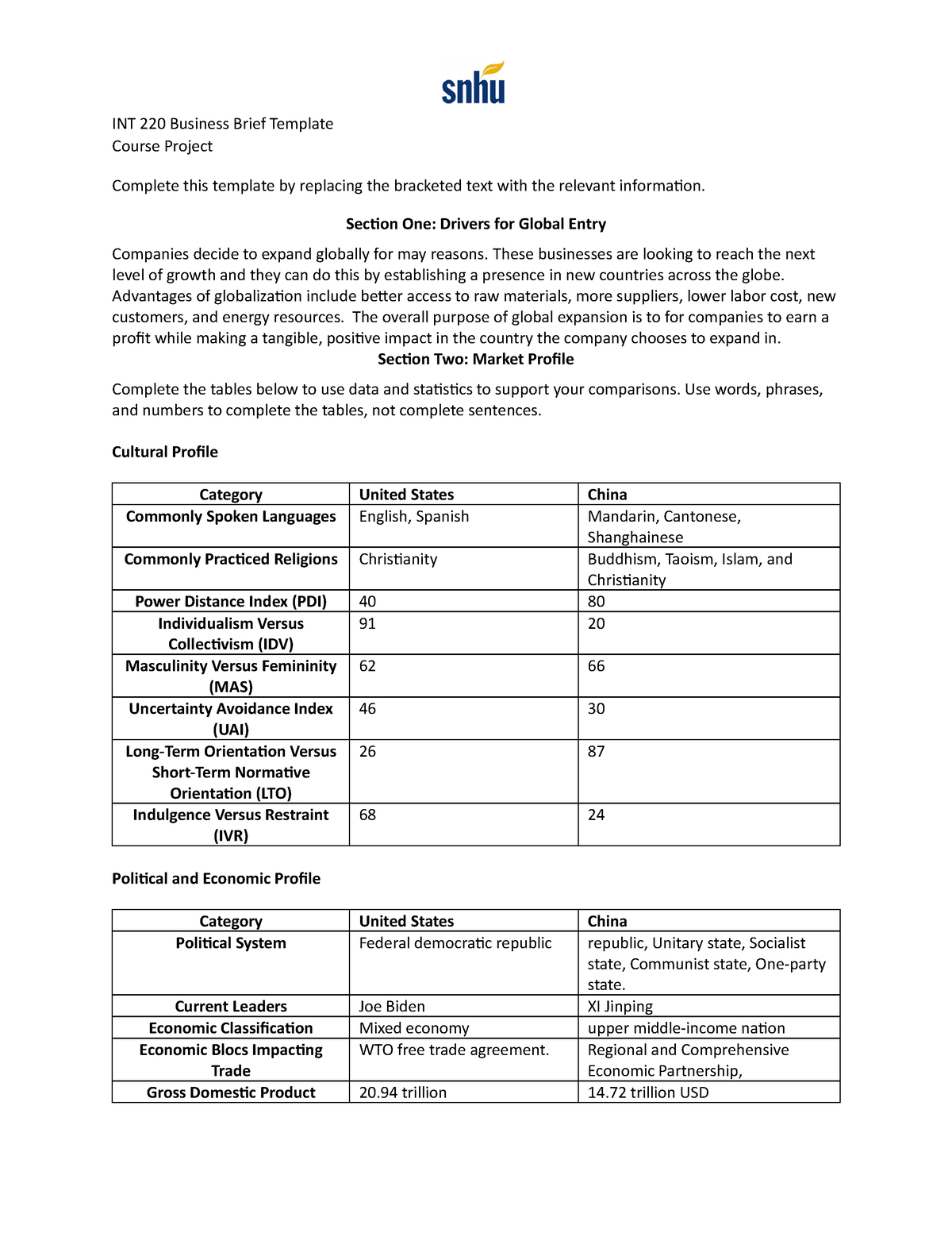 int-220-business-brief-template