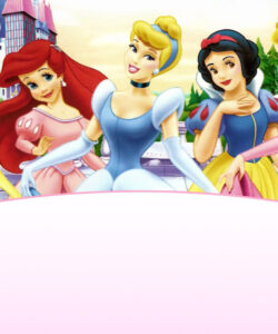 Custom Disney Princess Birthday Invitation Template Word Sample