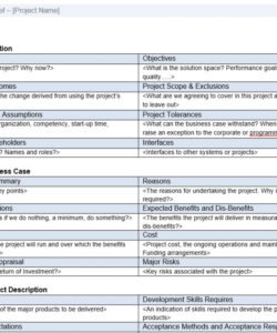 printable product development brief template excel sample