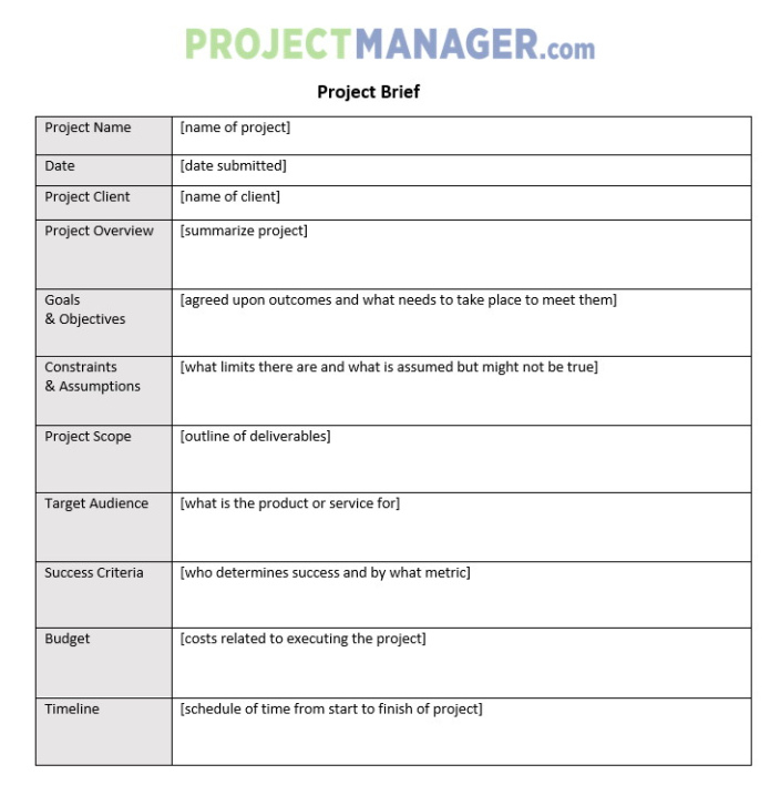 product development brief template